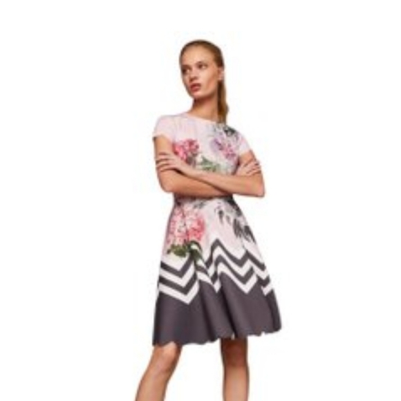 ted baker haiilie dress